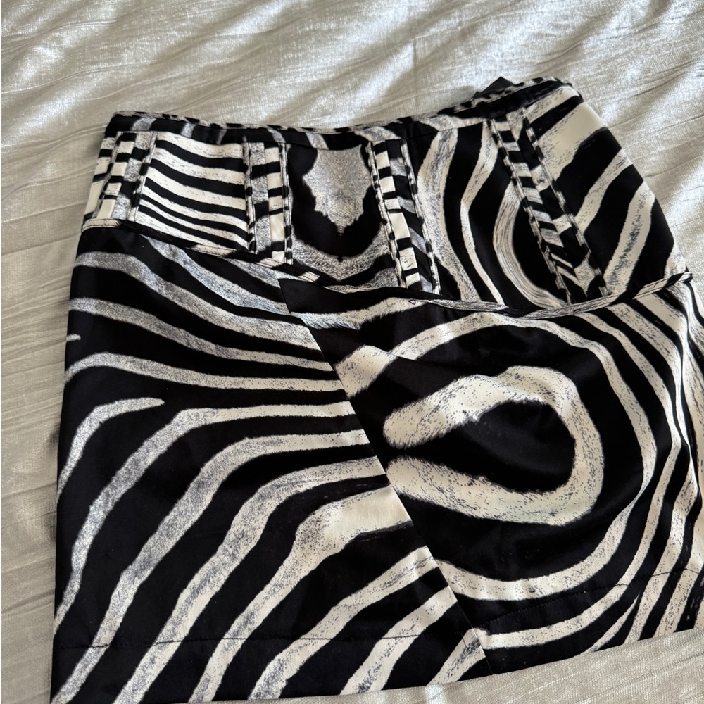 Roberto cavalli skirt